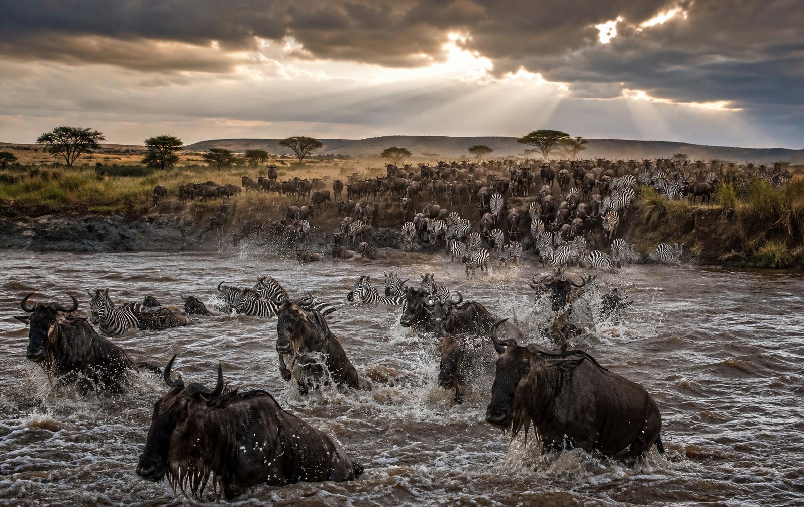 African Paradise